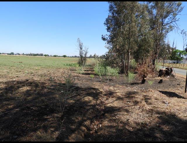 115,300M² VACANT LAND FOR SALE IN DE DEUR